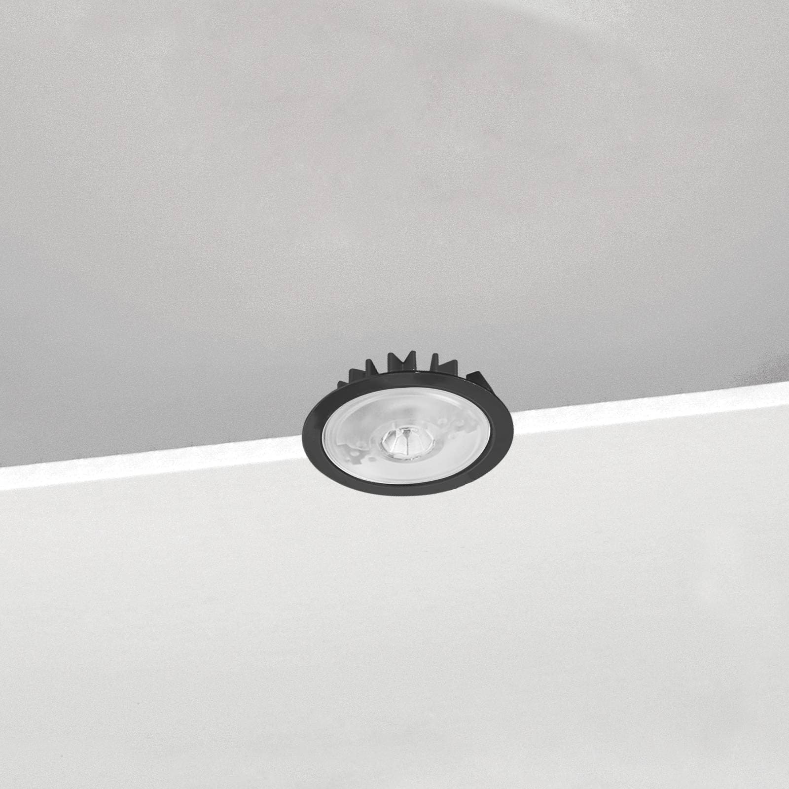 221/R image 4