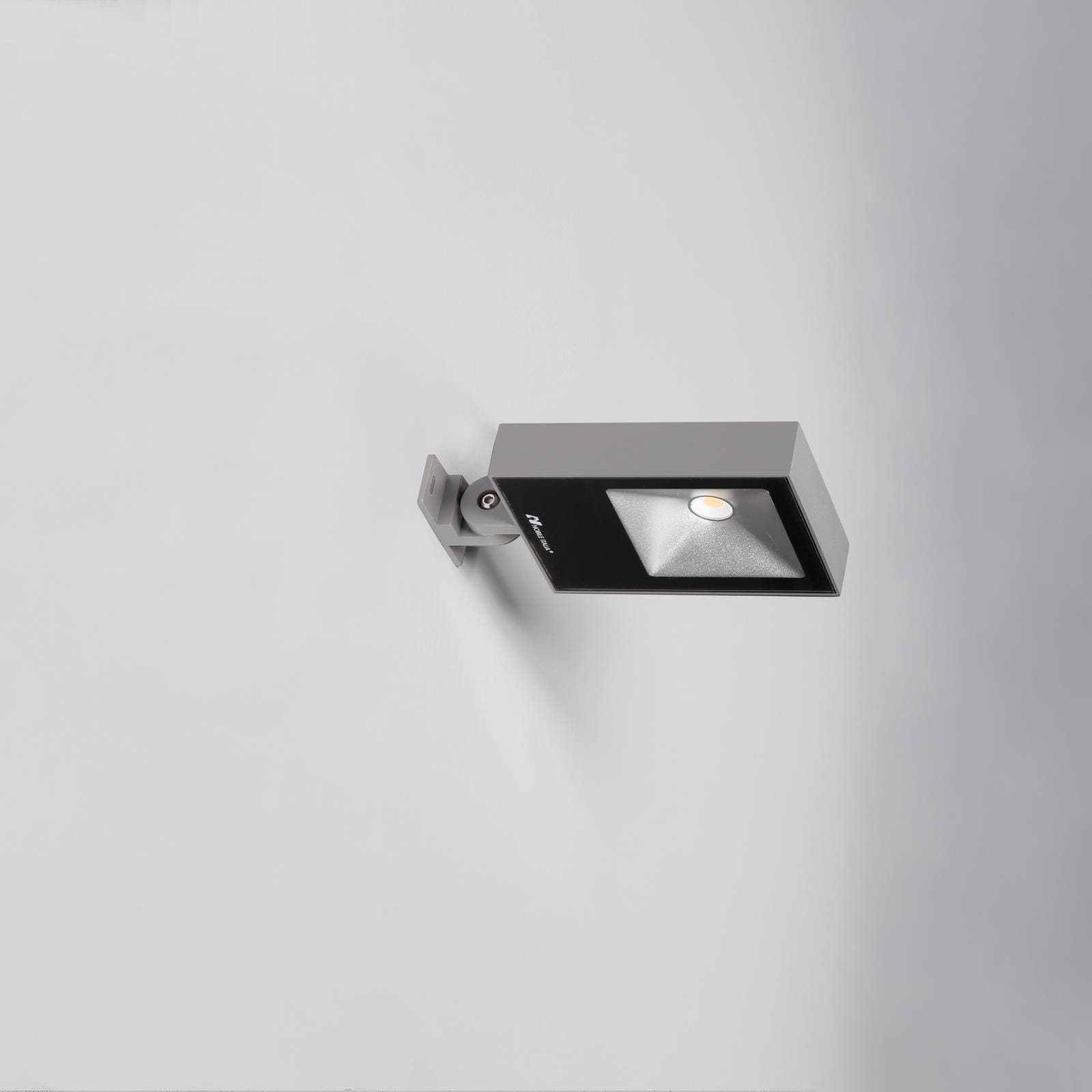 Ray Pro image 3