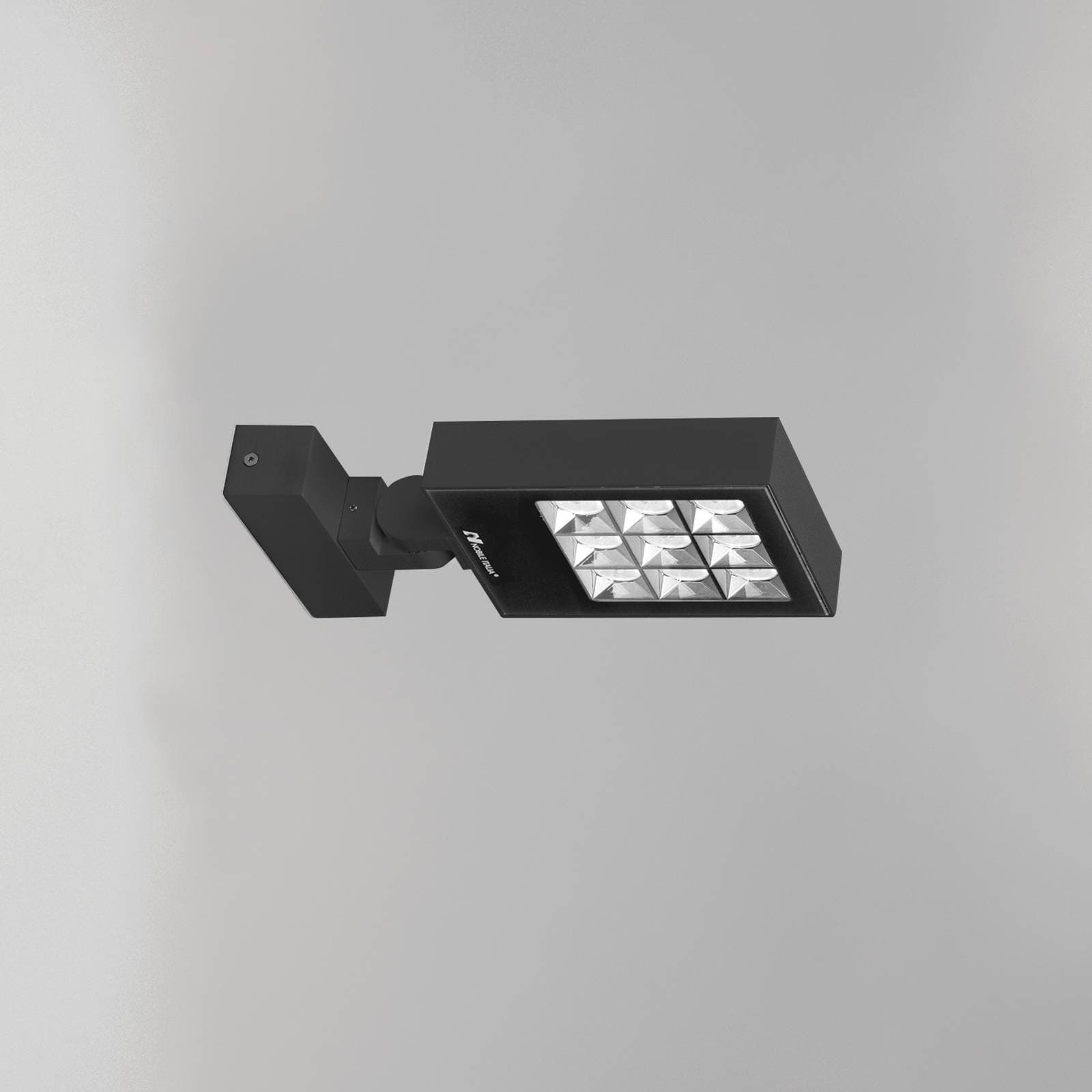 Ray Pro image 8