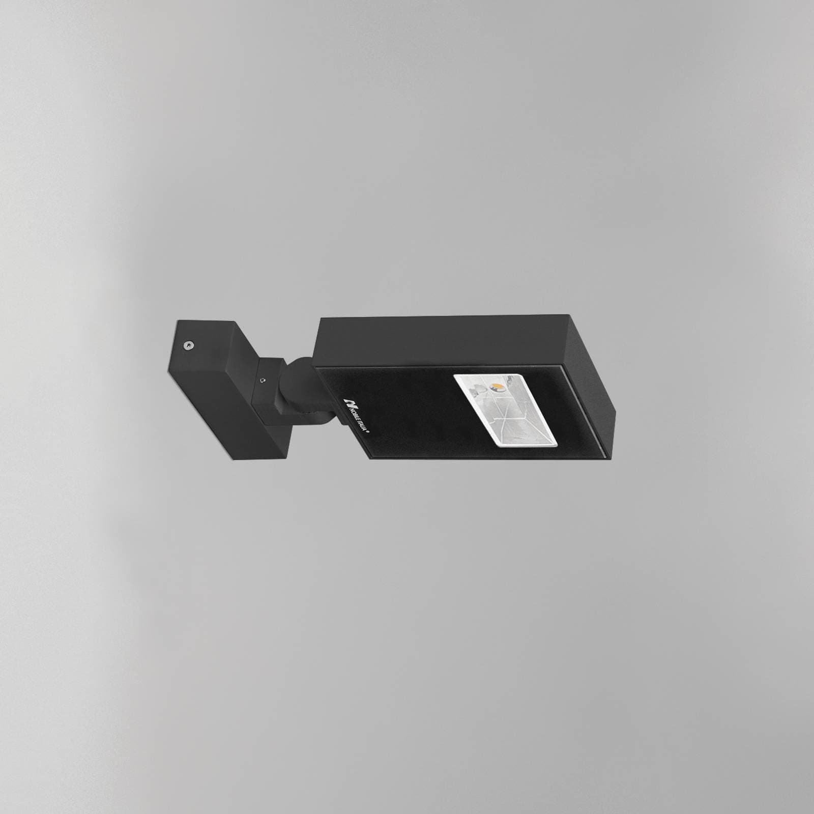 Ray Pro image 5