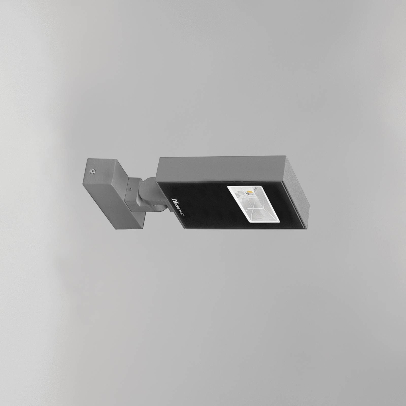 Ray Pro image 6