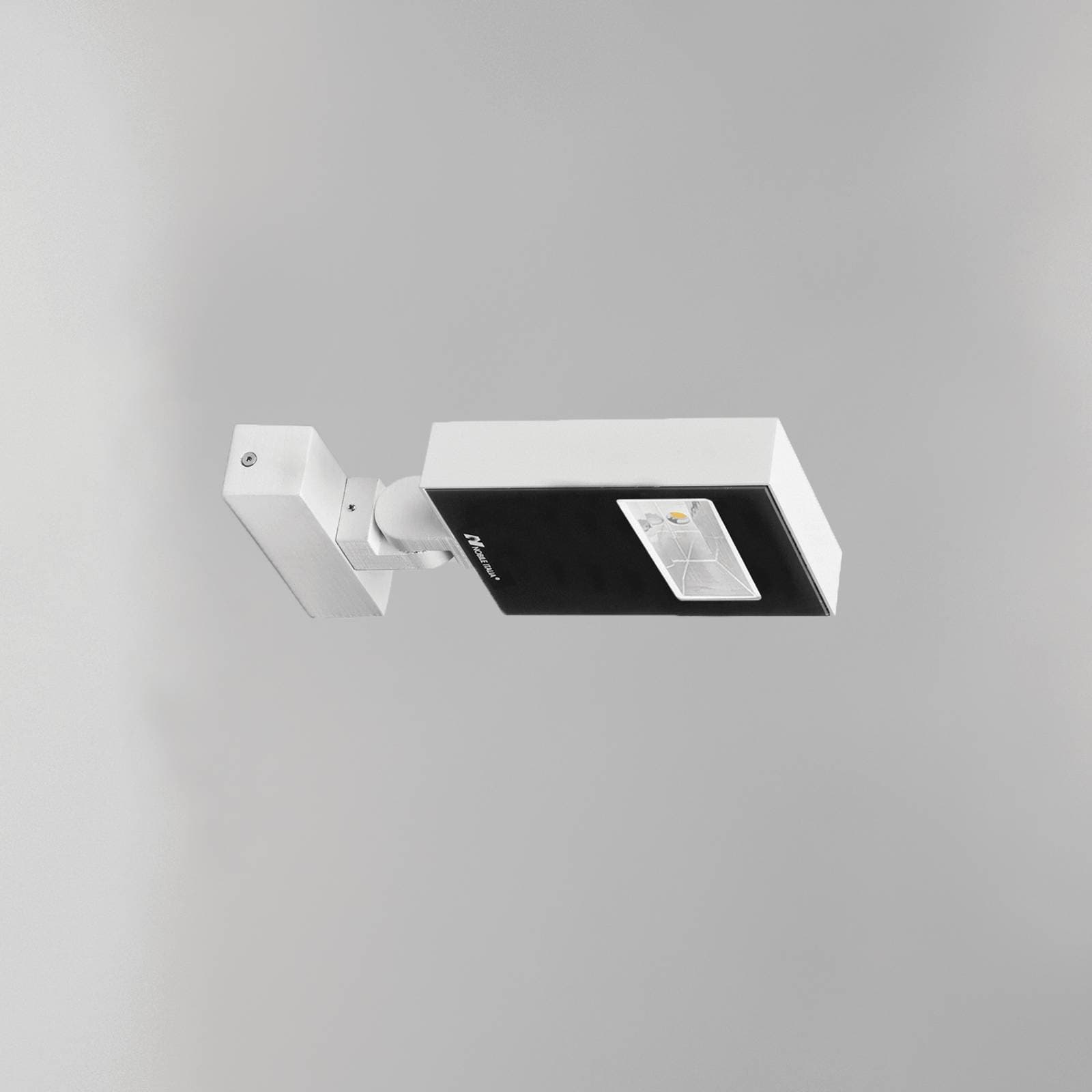 Ray Pro image 7