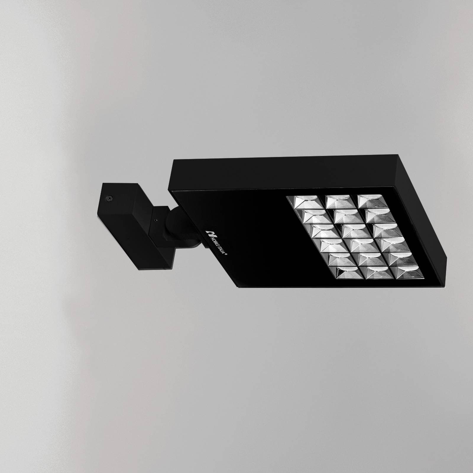 Ray Pro image 14