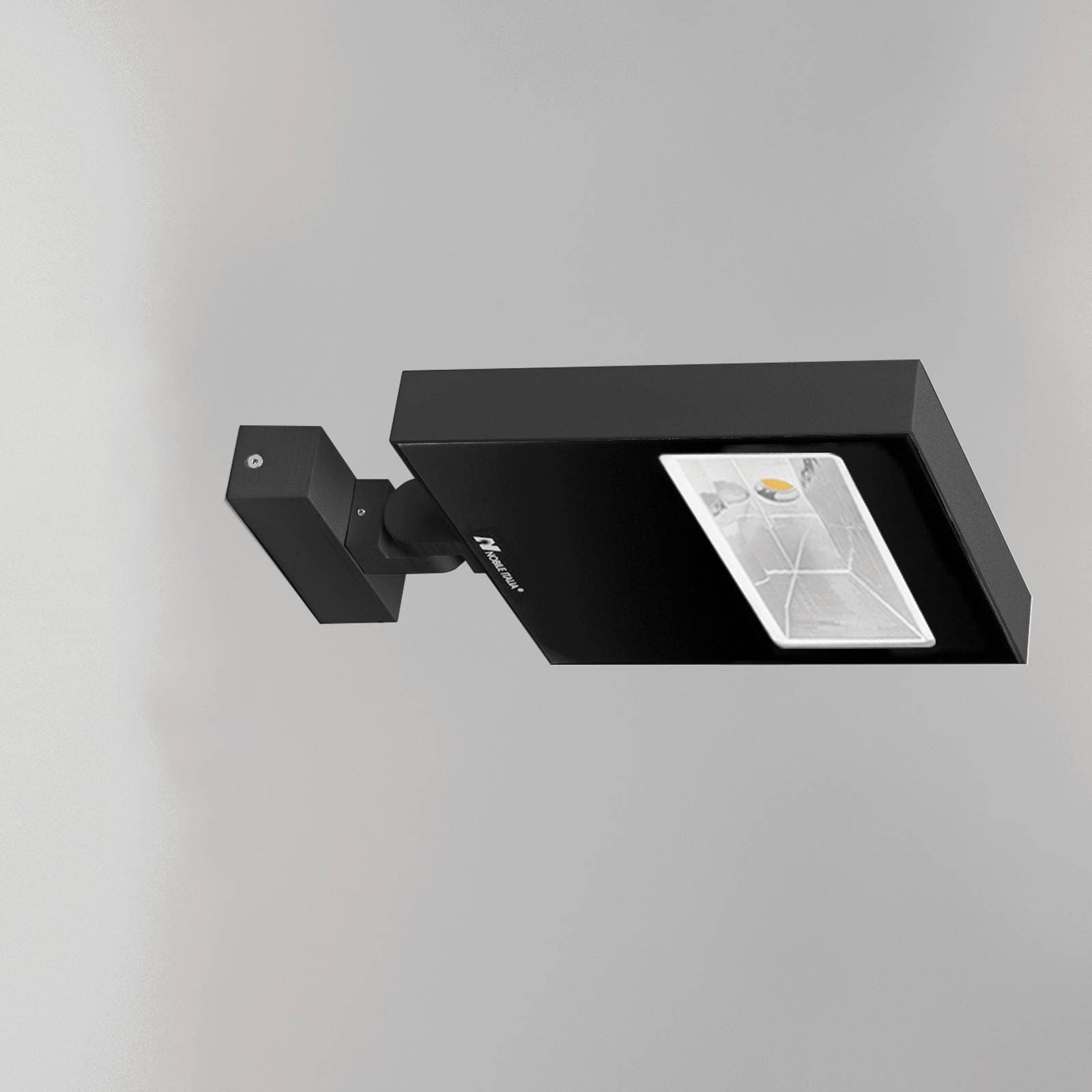 Ray Pro image 11