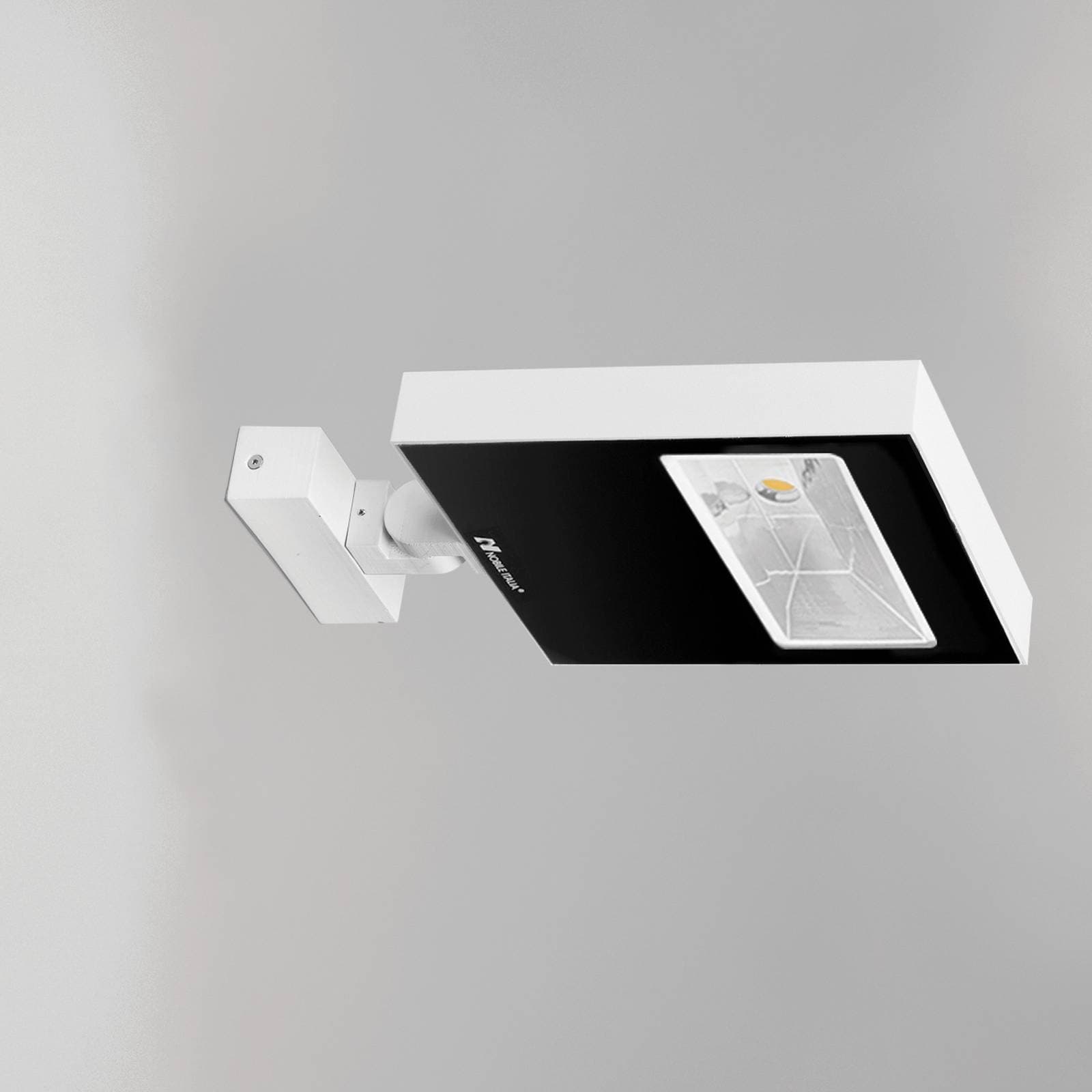 Ray Pro image 13
