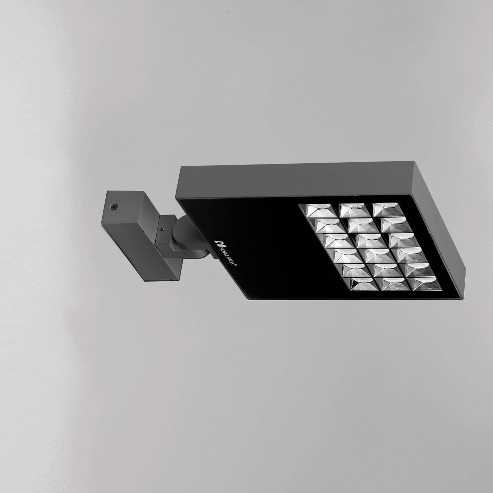 Ray Pro image 15