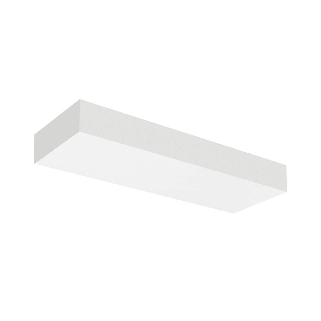 Plank image 2