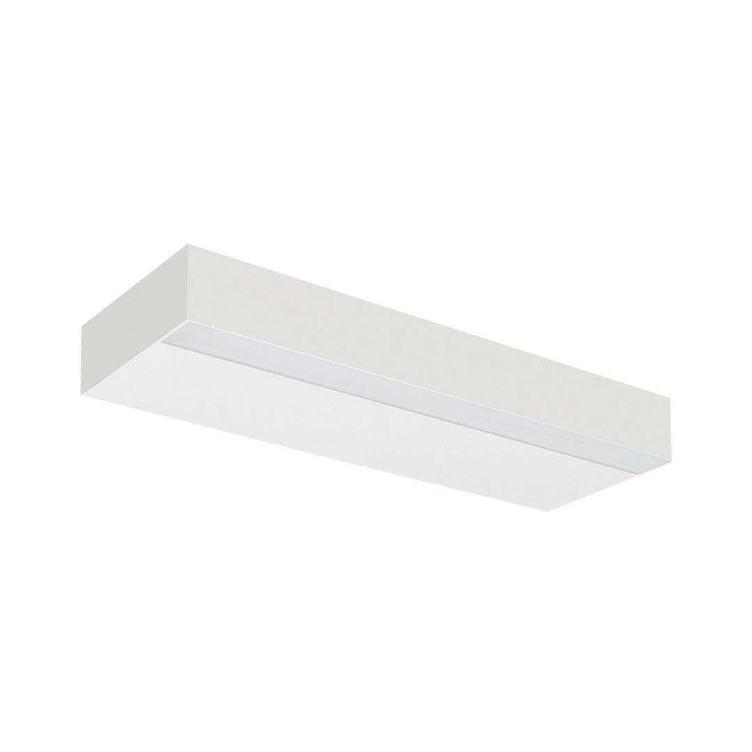 Plank image 6