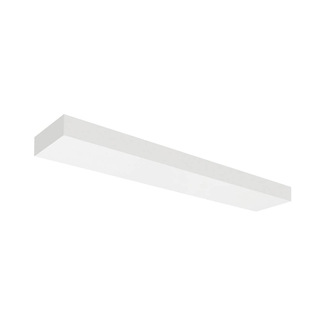 Plank image 4