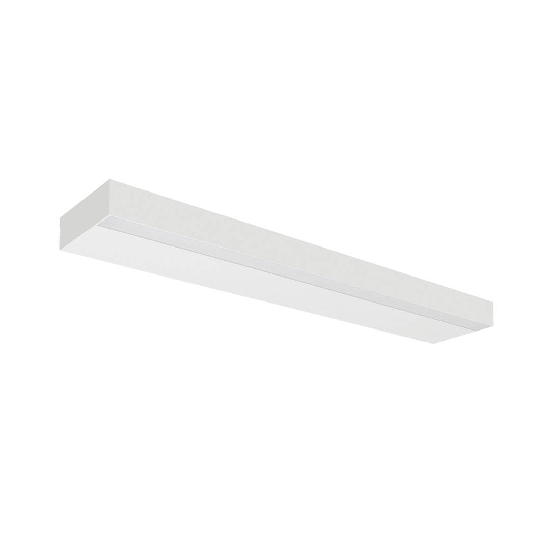 Plank image 8